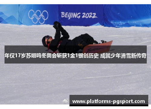 年仅17岁苏翊鸣冬奥会斩获1金1银创历史 成就少年滑雪新传奇